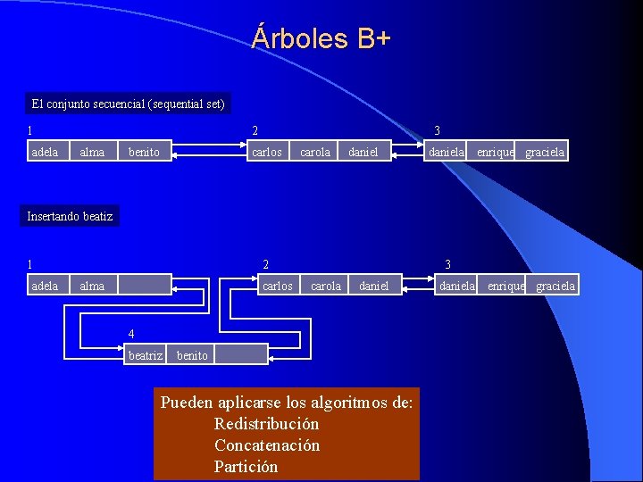 Árboles B+ El conjunto secuencial (sequential set) 1 adela 2 alma benito 3 carlos