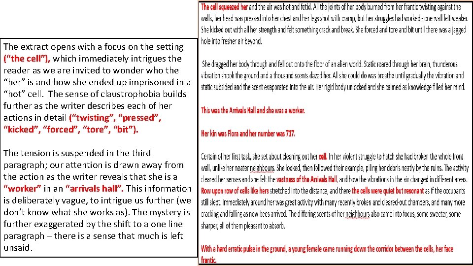 The extract opens with a focus on the setting (“the cell”), which immediately intrigues
