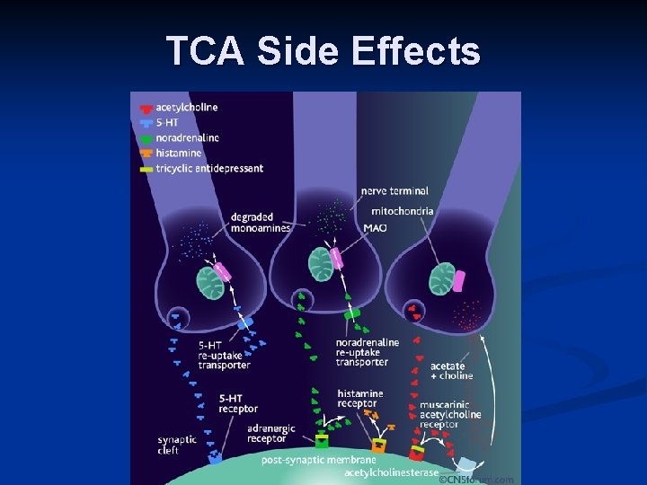 TCA Side Effects 