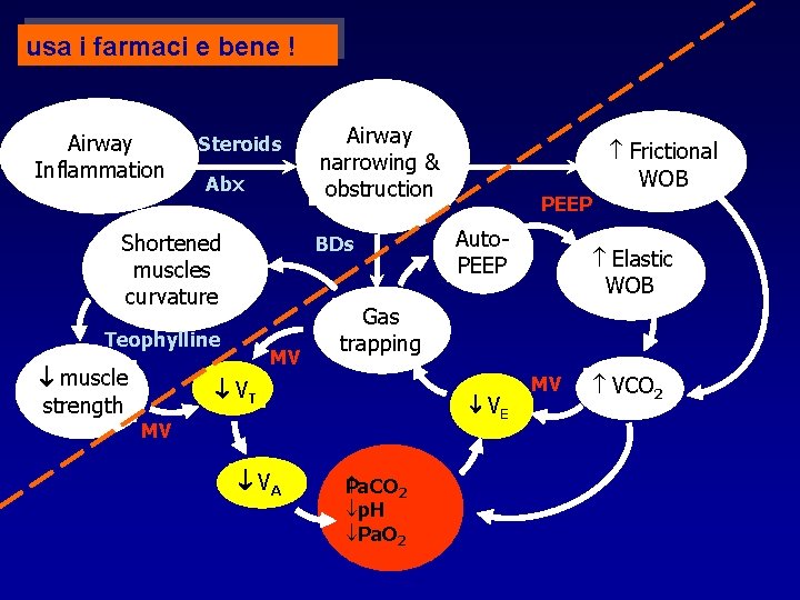 usa i farmaci e bene ! Airway Inflammation Steroids Abx Shortened muscles curvature BDs