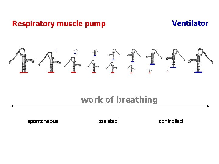  Respiratory Ventilator muscle pump. . work of breathing spontaneous assisted controlled 