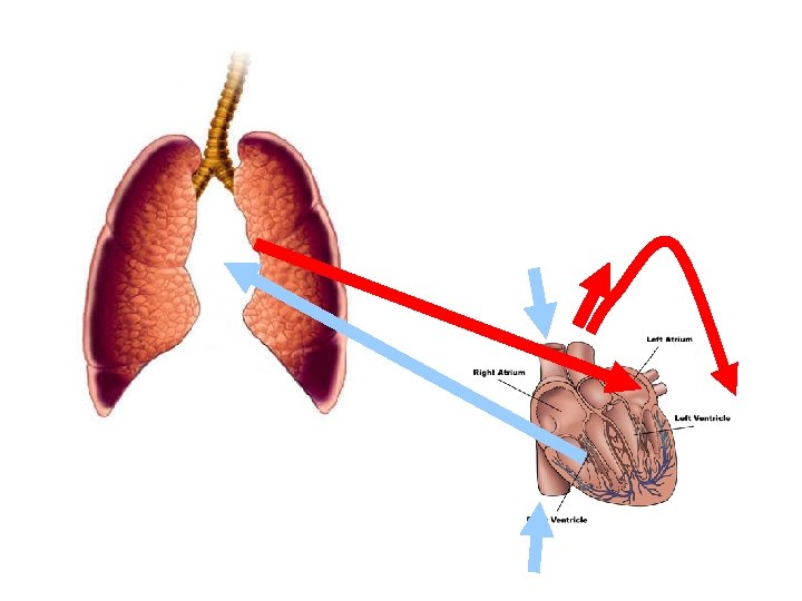 icd 10 diagnosis code for copd exacerbation