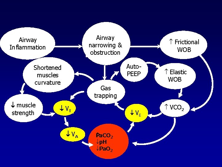 Airway narrowing & obstruction Airway Inflammation Auto. PEEP Shortened muscles curvature muscle strength Frictional