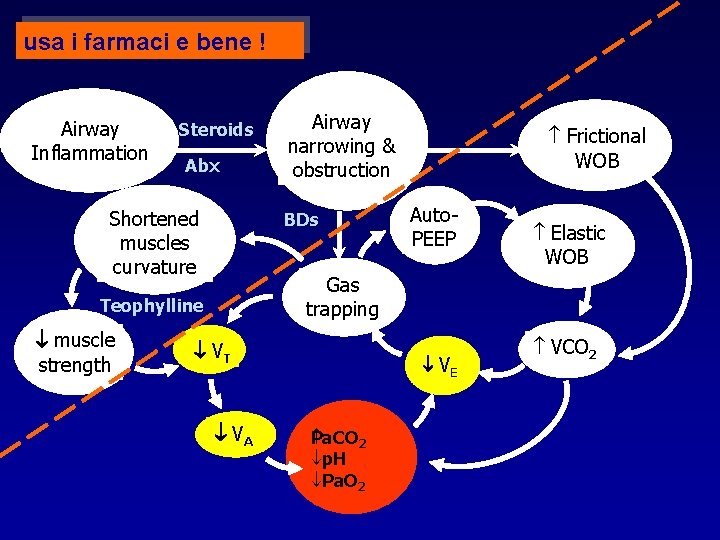 usa i farmaci e bene ! Airway Inflammation Steroids Abx Shortened muscles curvature BDs
