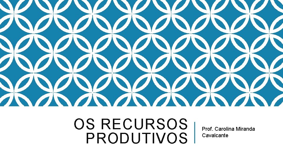 OS RECURSOS PRODUTIVOS Prof. Carolina Miranda Cavalcante 