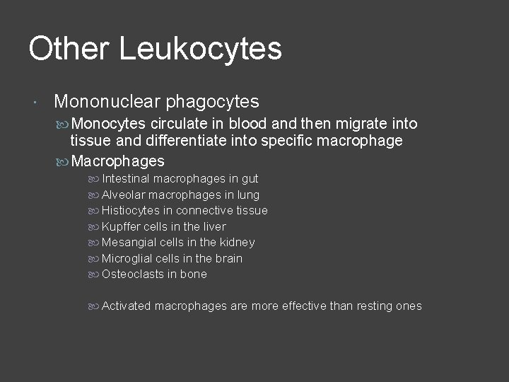 Other Leukocytes Mononuclear phagocytes Monocytes circulate in blood and then migrate into tissue and