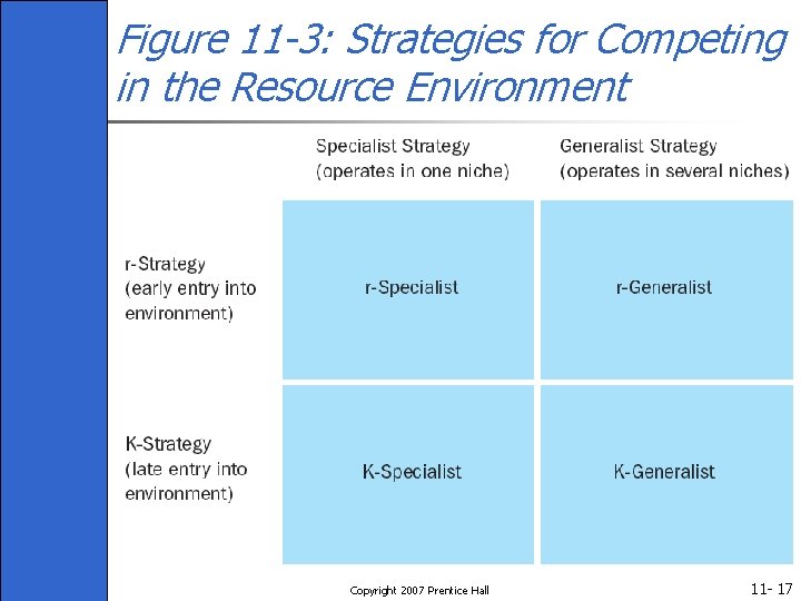 Figure 11 -3: Strategies for Competing in the Resource Environment Copyright 2007 Prentice Hall