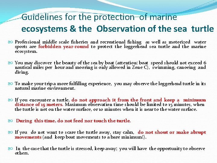 Guidelines for the protection of marine ecosystems & the Observation of the sea turtle