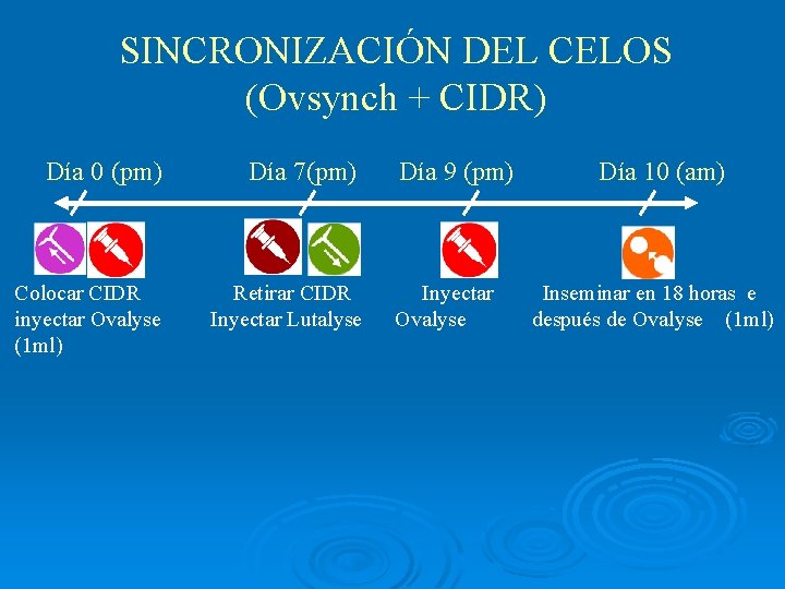 SINCRONIZACIÓN DEL CELOS (Ovsynch + CIDR) Día 0 (pm) Día 7(pm) Colocar CIDR inyectar