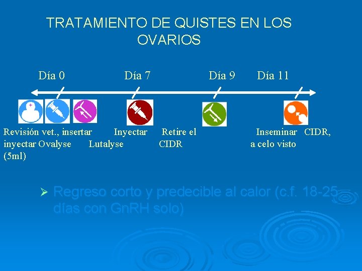 TRATAMIENTO DE QUISTES EN LOS OVARIOS Día 0 Día 7 Revisión vet. , insertar