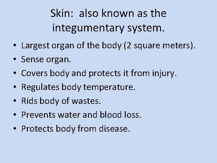 Unit 7 The Human Body Chapter 19 Skin