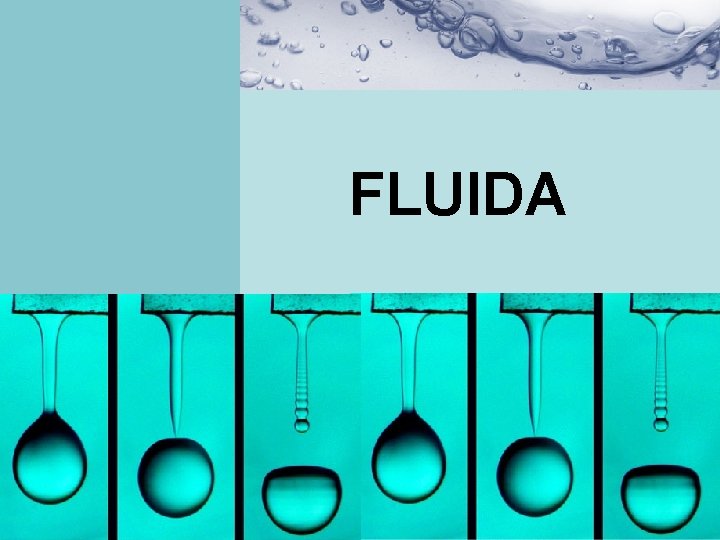 FLUIDA 