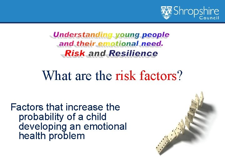 What are the risk factors? Factors that increase the probability of a child developing