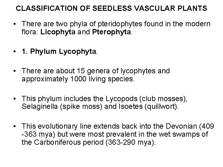 CLASSIFICATION OF SEEDLESS VASCULAR PLANTS • There are two phyla of pteridophytes found in