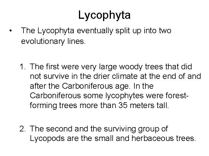 Lycophyta • The Lycophyta eventually split up into two evolutionary lines. 1. The first