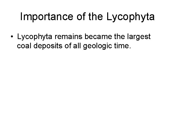 Importance of the Lycophyta • Lycophyta remains became the largest coal deposits of all