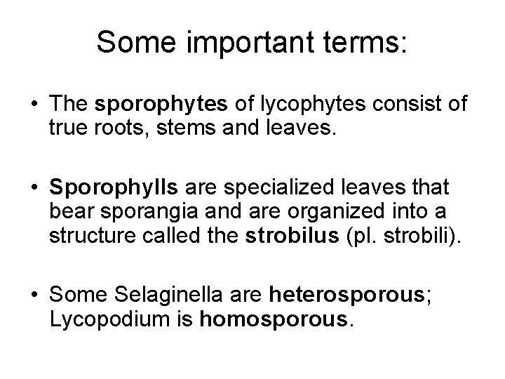 Some important terms: • The sporophytes of lycophytes consist of true roots, stems and