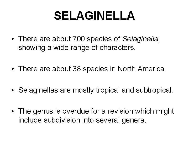 SELAGINELLA • There about 700 species of Selaginella, showing a wide range of characters.
