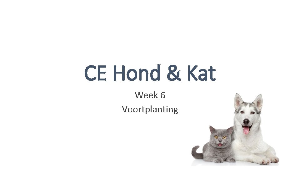 CE Hond & Kat Week 6 Voortplanting 