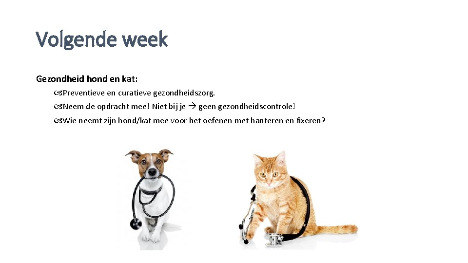 Volgende week Gezondheid hond en kat: Preventieve en curatieve gezondheidszorg. Neem de opdracht mee!