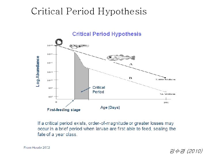Critical Period Hypothesis 강수경 (2010) 