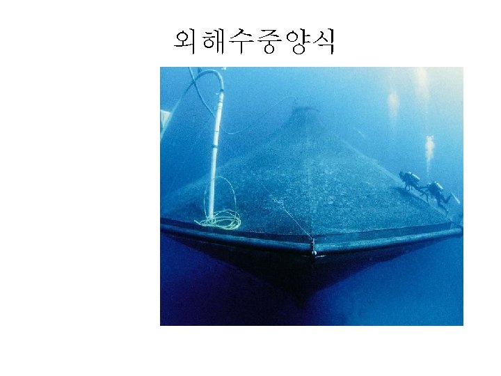 Submersible cage: Ocean Spar Sea Station 외해수중양식 