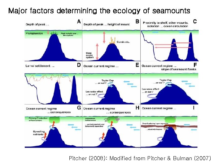 Major factors determining the ecology of seamounts Pitcher (2008): Modified from Pitcher & Bulman