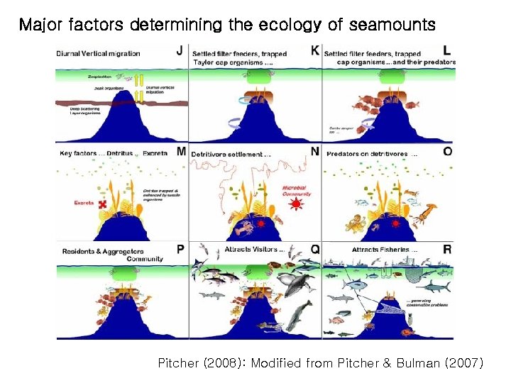 Major factors determining the ecology of seamounts Pitcher (2008): Modified from Pitcher & Bulman