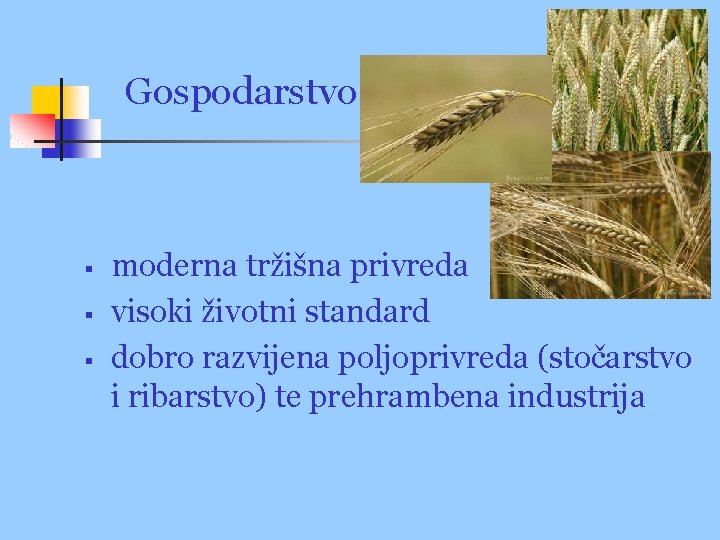 Gospodarstvo § § § moderna tržišna privreda visoki životni standard dobro razvijena poljoprivreda (stočarstvo