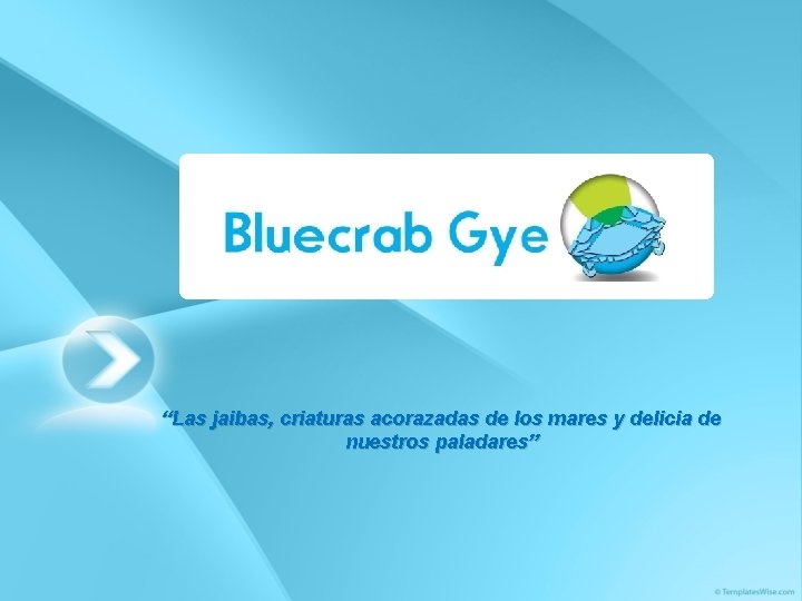 “Las jaibas, criaturas acorazadas de los mares y delicia de nuestros paladares” 