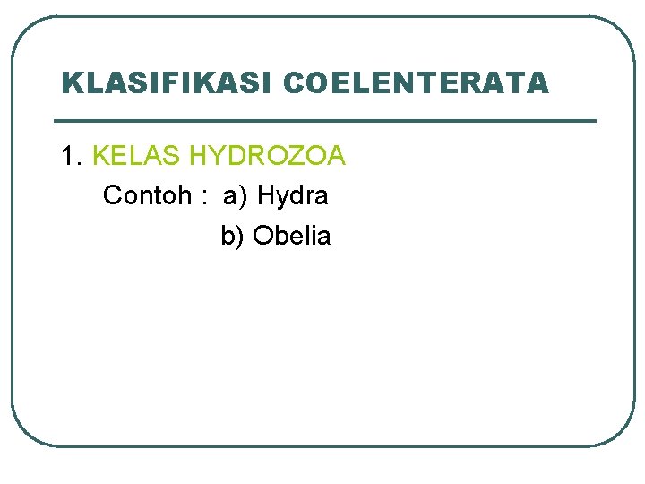KLASIFIKASI COELENTERATA 1. KELAS HYDROZOA Contoh : a) Hydra b) Obelia 