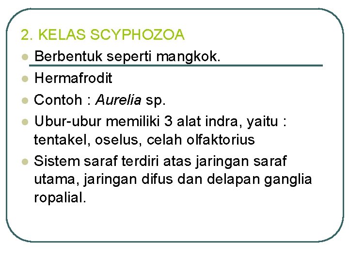 2. KELAS SCYPHOZOA l Berbentuk seperti mangkok. l Hermafrodit l Contoh : Aurelia sp.