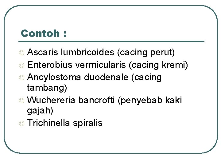 Contoh : Ascaris lumbricoides (cacing perut) J Enterobius vermicularis (cacing kremi) J Ancylostoma duodenale