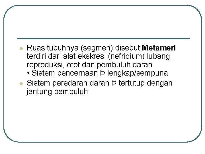 l l Ruas tubuhnya (segmen) disebut Metameri terdiri dari alat ekskresi (nefridium) lubang reproduksi,