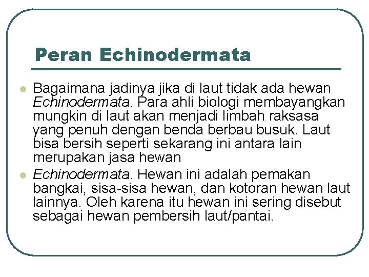Peran Echinodermata l l Bagaimana jadinya jika di laut tidak ada hewan Echinodermata. Para