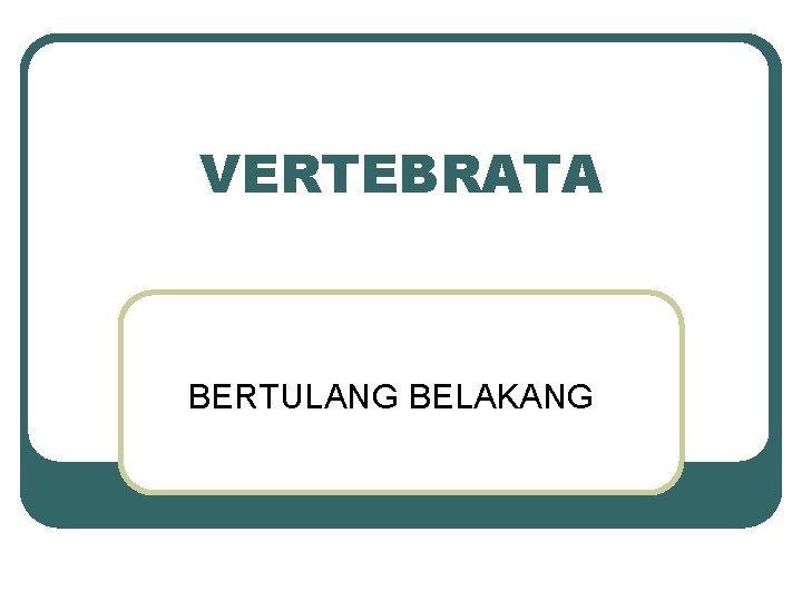 VERTEBRATA BERTULANG BELAKANG 