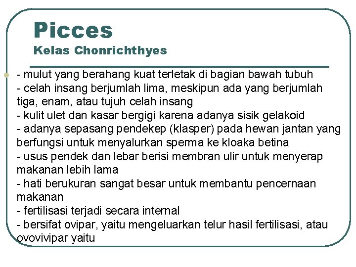 Picces Kelas Chonrichthyes l - mulut yang berahang kuat terletak di bagian bawah tubuh