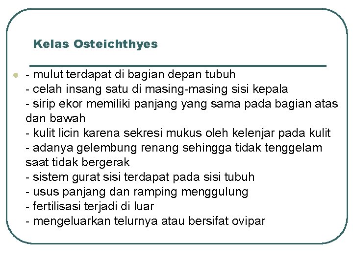 Kelas Osteichthyes l - mulut terdapat di bagian depan tubuh - celah insang satu