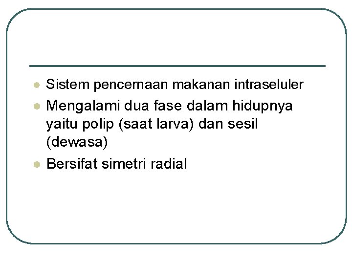 l Sistem pencernaan makanan intraseluler l Mengalami dua fase dalam hidupnya yaitu polip (saat