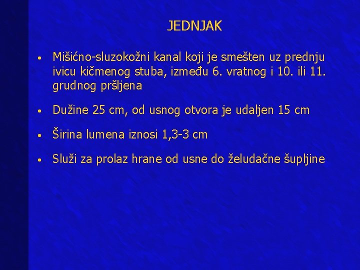 JEDNJAK • Mišićno-sluzokožni kanal koji je smešten uz prednju ivicu kičmenog stuba, između 6. JEDNJAK • Mišićno-sluzokožni kanal koji je smešten uz prednju ivicu kičmenog stuba, između 6.