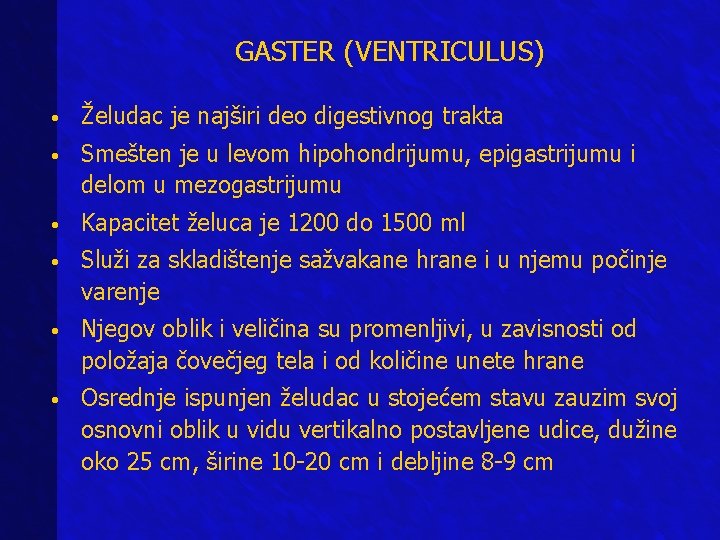 GASTER (VENTRICULUS) • Želudac je najširi deo digestivnog trakta • Smešten je u levom GASTER (VENTRICULUS) • Želudac je najširi deo digestivnog trakta • Smešten je u levom