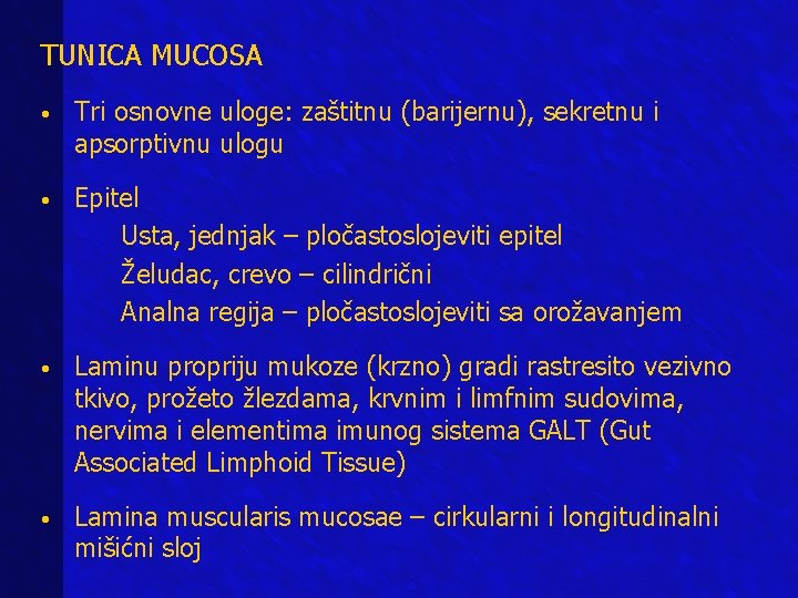 TUNICA MUCOSA • Tri osnovne uloge: zaštitnu (barijernu), sekretnu i apsorptivnu ulogu • Epitel TUNICA MUCOSA • Tri osnovne uloge: zaštitnu (barijernu), sekretnu i apsorptivnu ulogu • Epitel