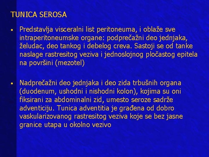 TUNICA SEROSA • Predstavlja visceralni list peritoneuma, i oblaže sve intraperitoneumske organe: podprečažni deo TUNICA SEROSA • Predstavlja visceralni list peritoneuma, i oblaže sve intraperitoneumske organe: podprečažni deo