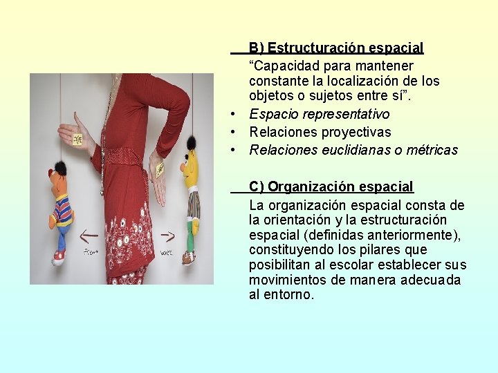 B) Estructuración espacial “Capacidad para mantener constante la localización de los objetos o sujetos