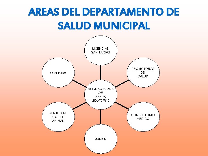 AREAS DEL DEPARTAMENTO DE SALUD MUNICIPAL LICENCIAS SANITARIAS PROMOTORAS DE SALUD COMUSIDA DEPARTAMENTO DE