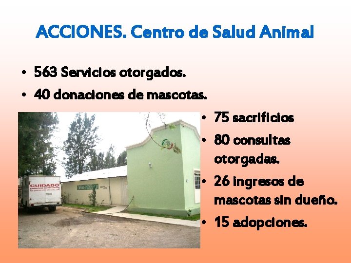 ACCIONES. Centro de Salud Animal • 563 Servicios otorgados. • 40 donaciones de mascotas.