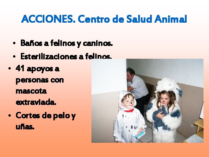 ACCIONES. Centro de Salud Animal • Baños a felinos y caninos. • Esterilizaciones a