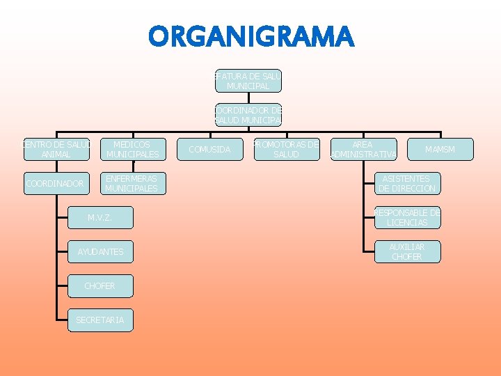 ORGANIGRAMA JEFATURA DE SALUD MUNICIPAL COORDINADOR DE SALUD MUNICIPAL CENTRO DE SALUD ANIMAL MEDICOS