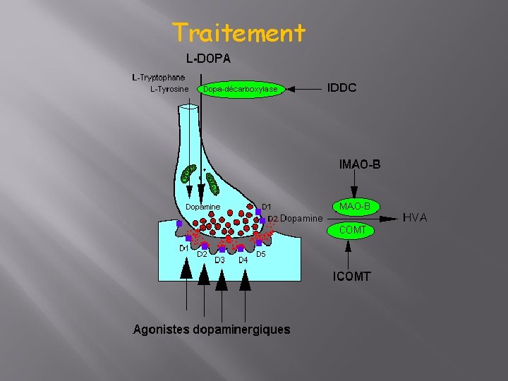 Traitement 