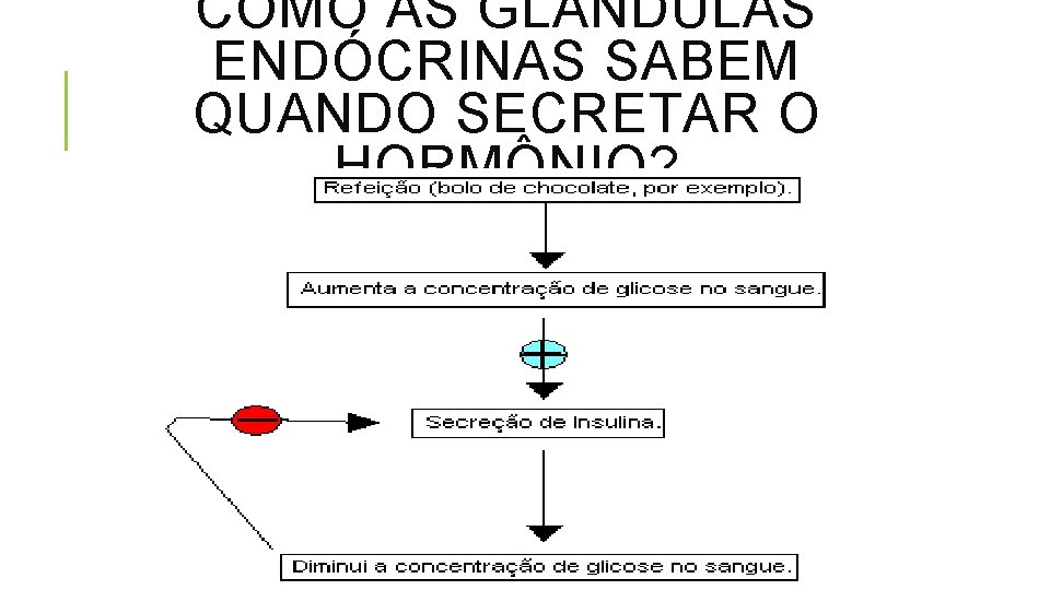 COMO AS GL NDULAS ENDÓCRINAS SABEM QUANDO SECRETAR O HORMÔNIO? 